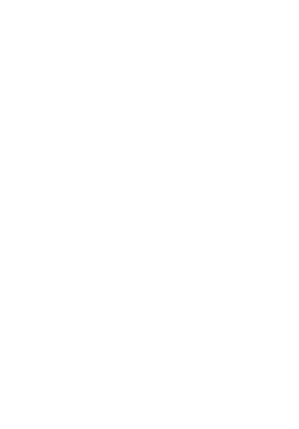 SILICON VALLEY