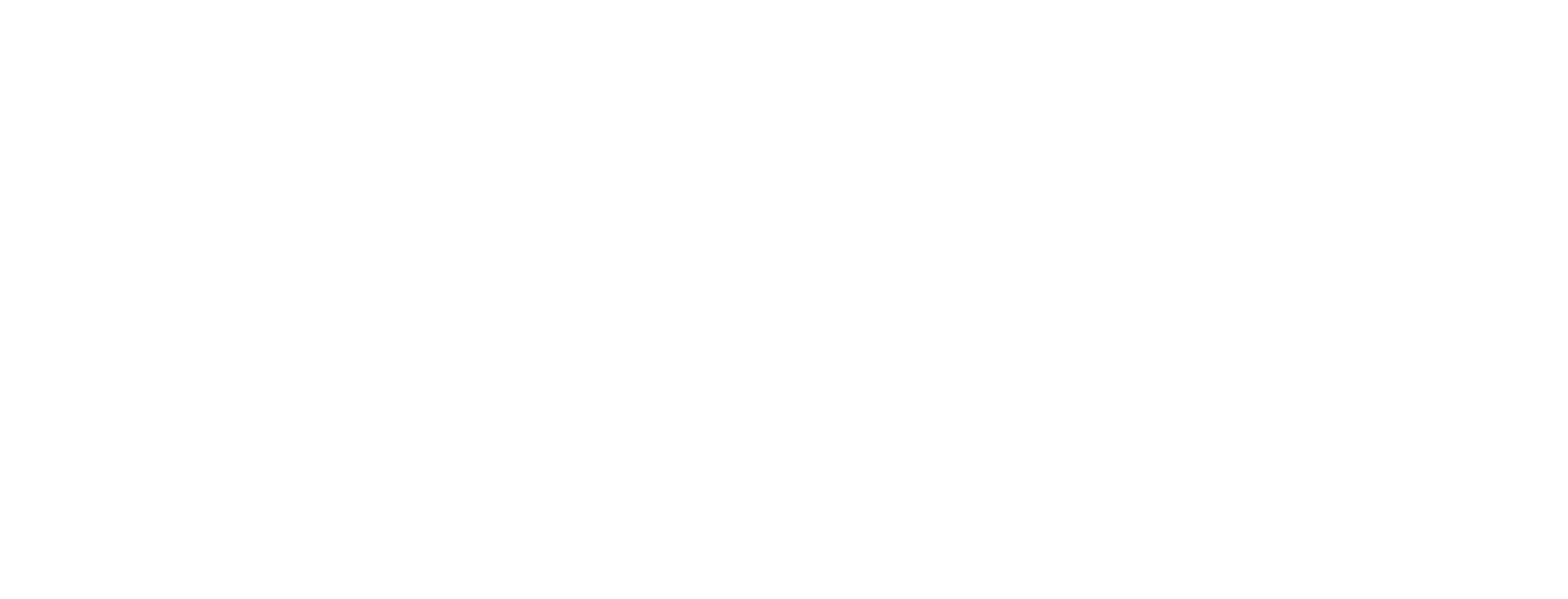 fadep_solo-03